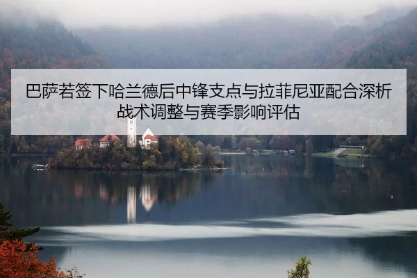 ba-sa-ruo-qian-xia-ha-lan-de-hou-zhong-feng-zhi-dian-yu-la-fei-ni-ya-pei-he-shen-xi-zhan-shu-tiao-zheng-yu-sai-ji-ying-2-547.jpg