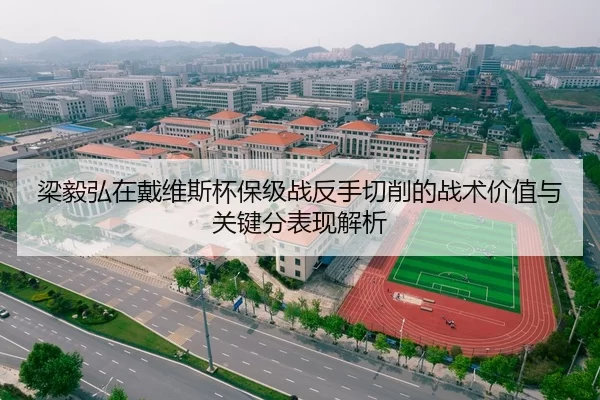 梁毅弘在戴维斯杯保级战反手切削的战术价值与关键分表现解析