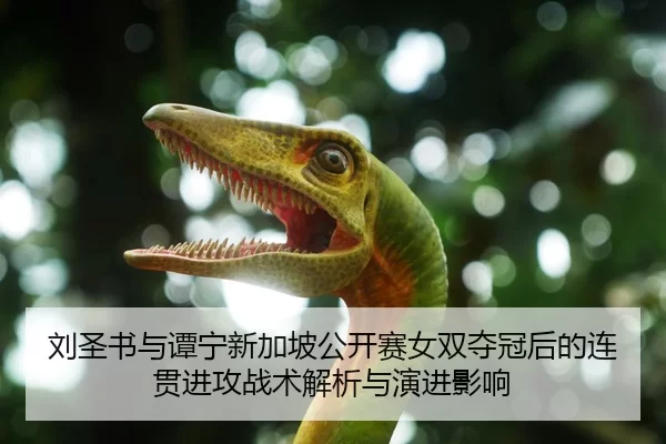 刘圣书与谭宁新加坡公开赛女双夺冠后的连贯进攻战术解析与演进影响