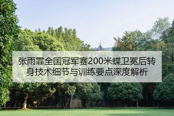 张雨霏全国冠军赛200米蝶卫冕后转身技术细节与训练要点深度解析